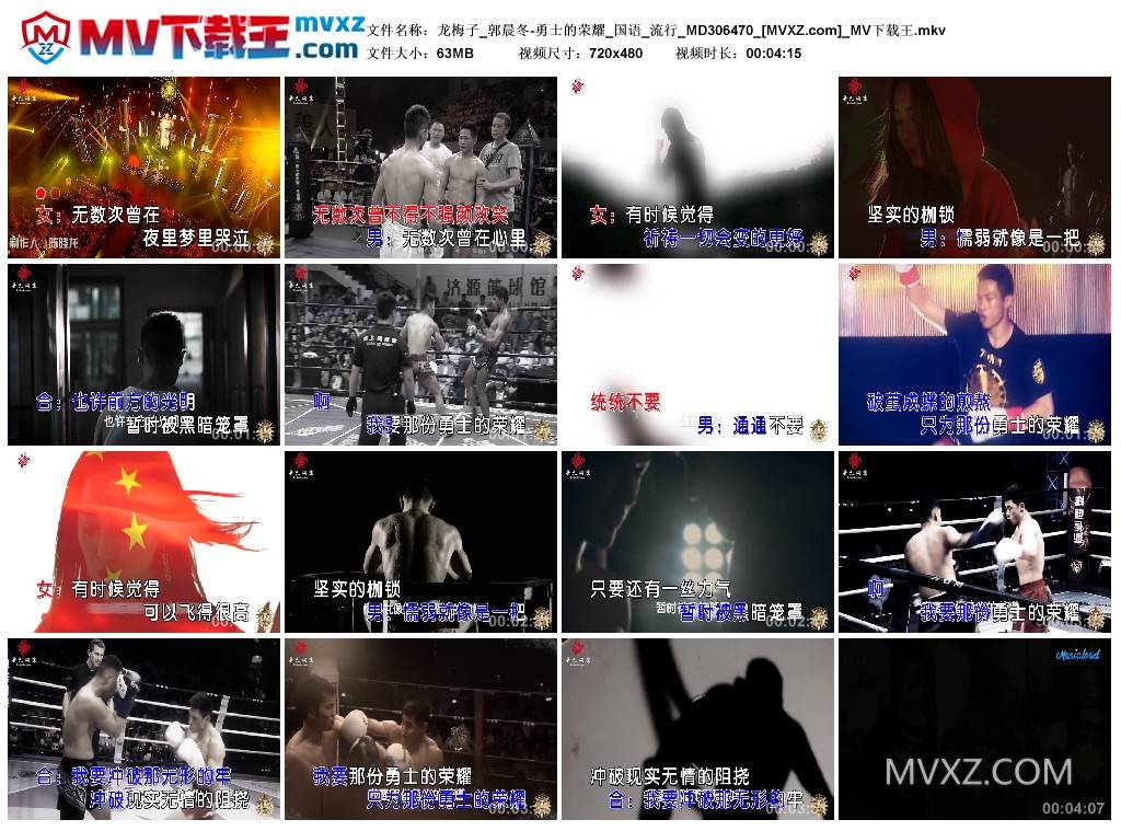 龙梅子_郭晨冬-勇士的荣耀_国语_流行_MD306470